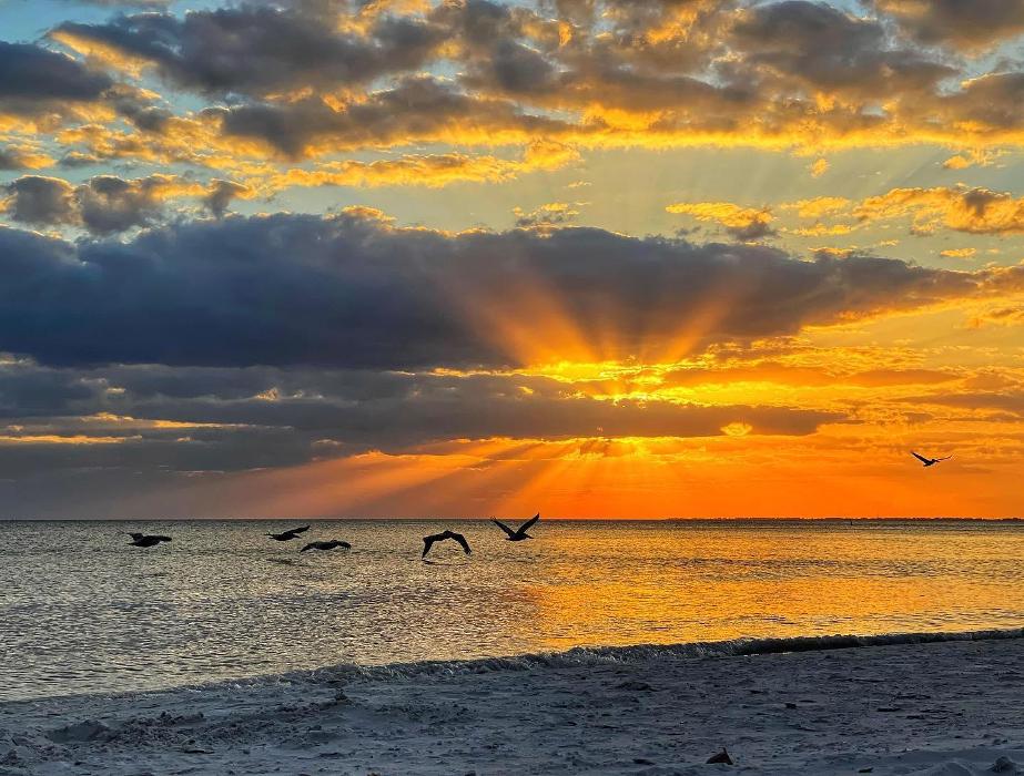 Lorna Littrell Photography - Fort Myers Beach, FL