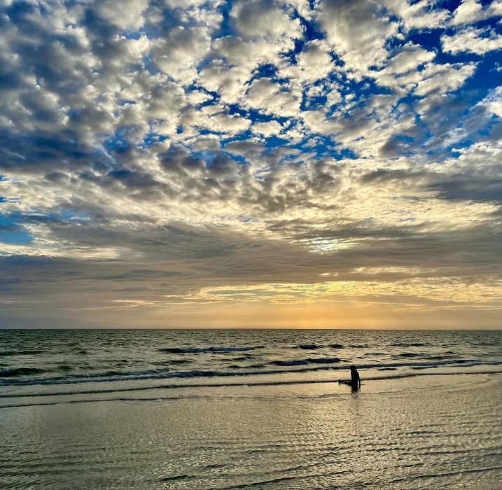 Lorna Littrell Photography - Fort Myers Beach, FL