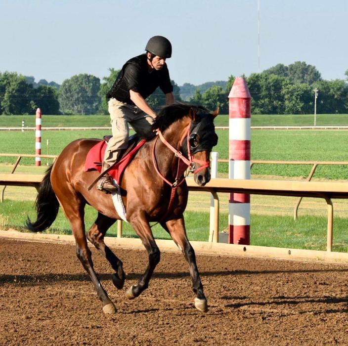 Lorna Littrell Photography - Fort Myers Beach, FL