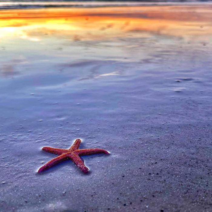 Lorna Littrell Photography - Fort Myers Beach, FL