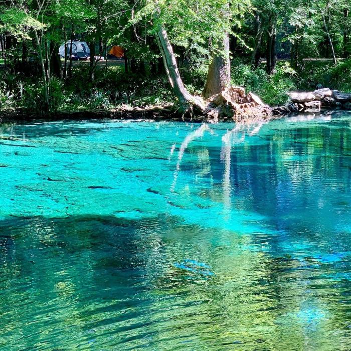 Lorna Littrell Photography - Fort Myers Beach, FL