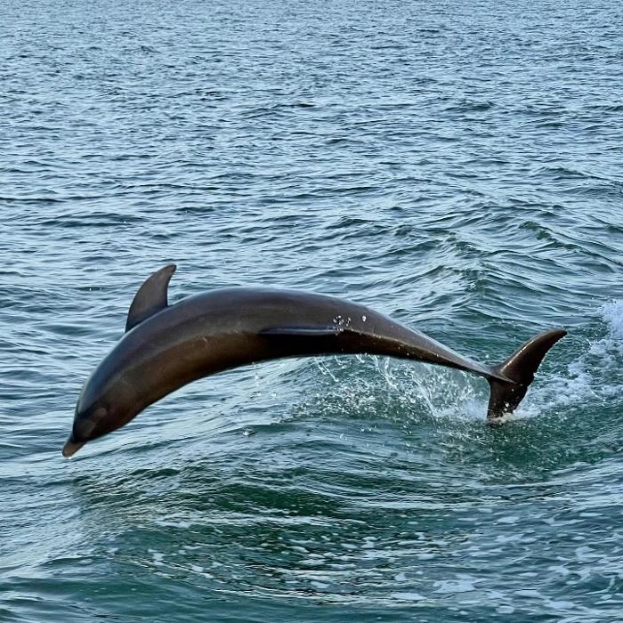 Lorna Littrell Photography - Fort Myers Beach, FL