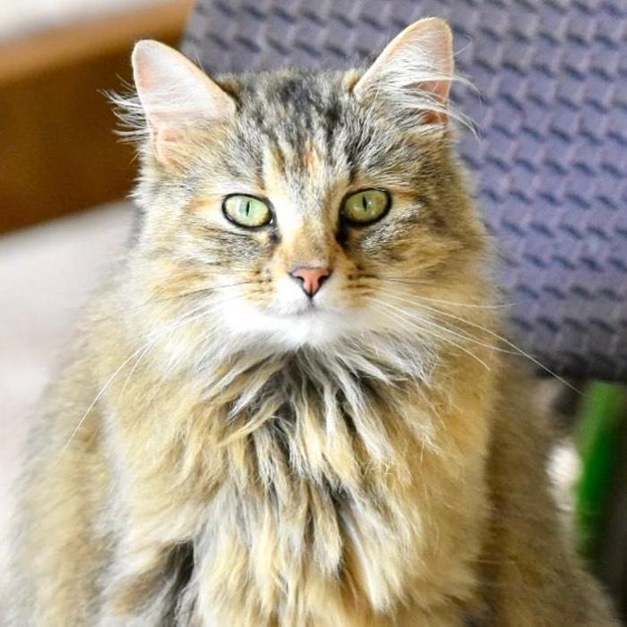 Lorna Littrell Photography - Fort Myers Beach, FL