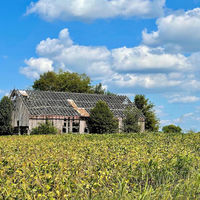 Lorna Littrell Photography - Fort Myers Beach, FL