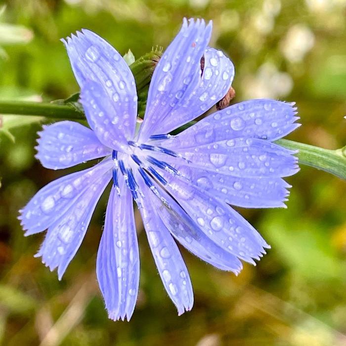 Lorna Littrell Photography - Fort Myers Beach, FL