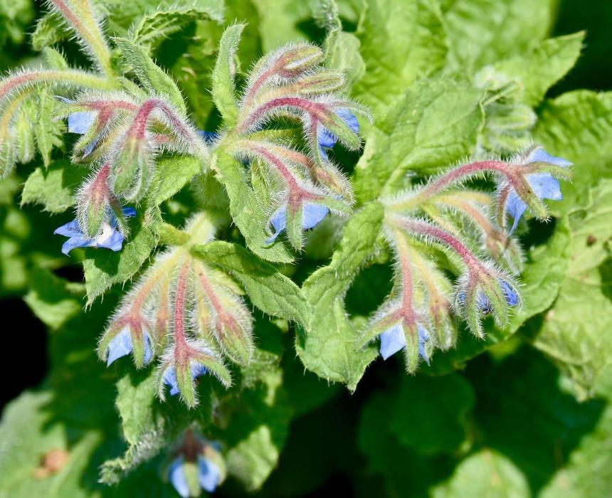 Lorna Littrell Photography - Fort Myers Beach, FL