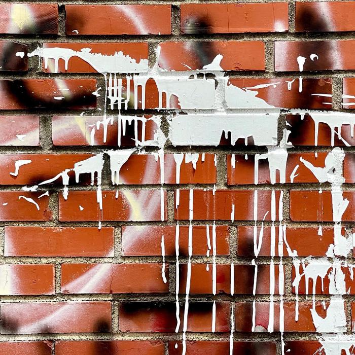 Lorna Littrell Photography - Fort Myers Beach, FL