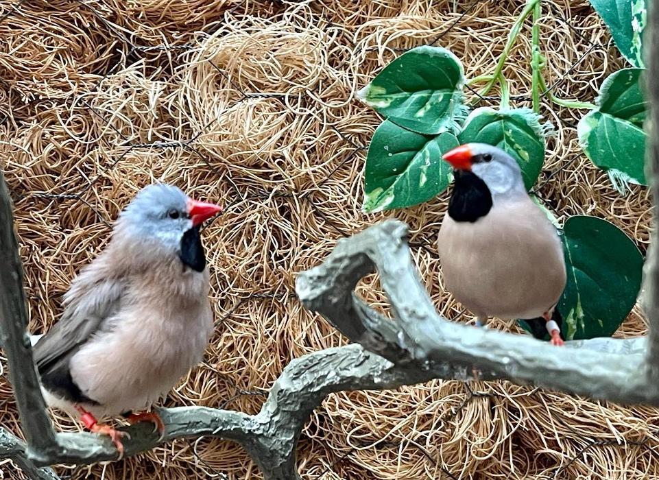 Lorna Littrell Photography - Fort Myers Beach, FL