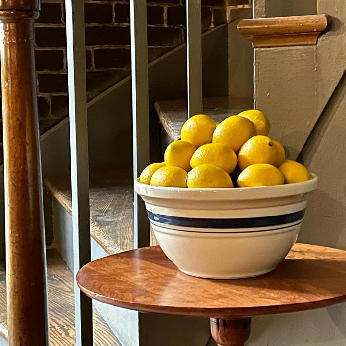 Lorna Littrell Photography - Fort Myers Beach, FL