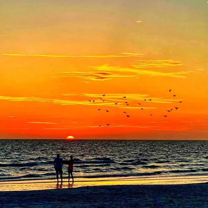 Lorna Littrell Photography - Fort Myers Beach, FL