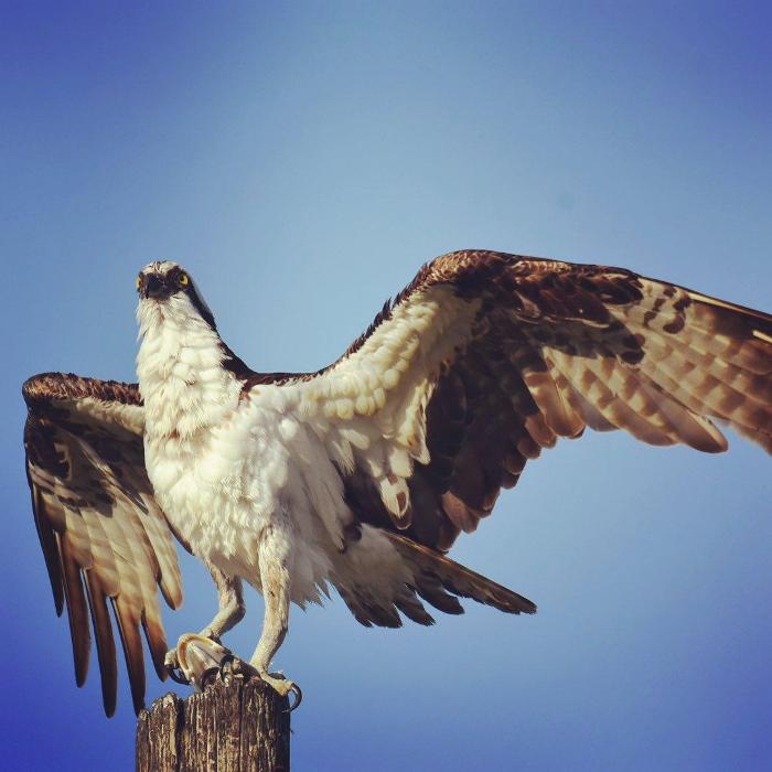 Lorna Littrell Photography - Fort Myers Beach, FL