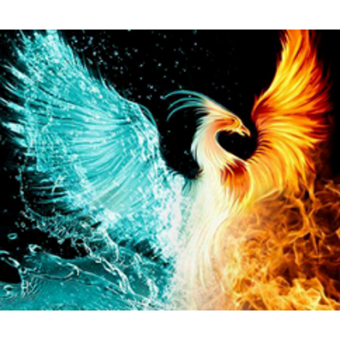 The Rising Phoenix Studio - Wilmington, NC