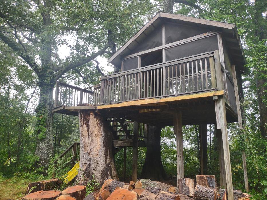 Gravity Works Tree Service - Asheville, NC