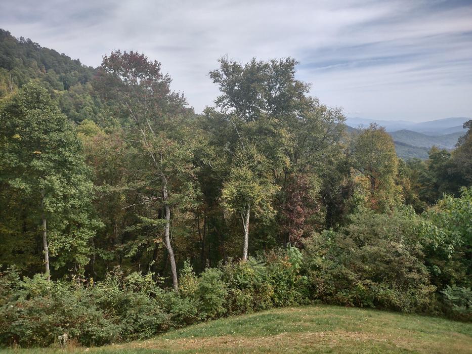 Gravity Works Tree Service - Asheville, NC