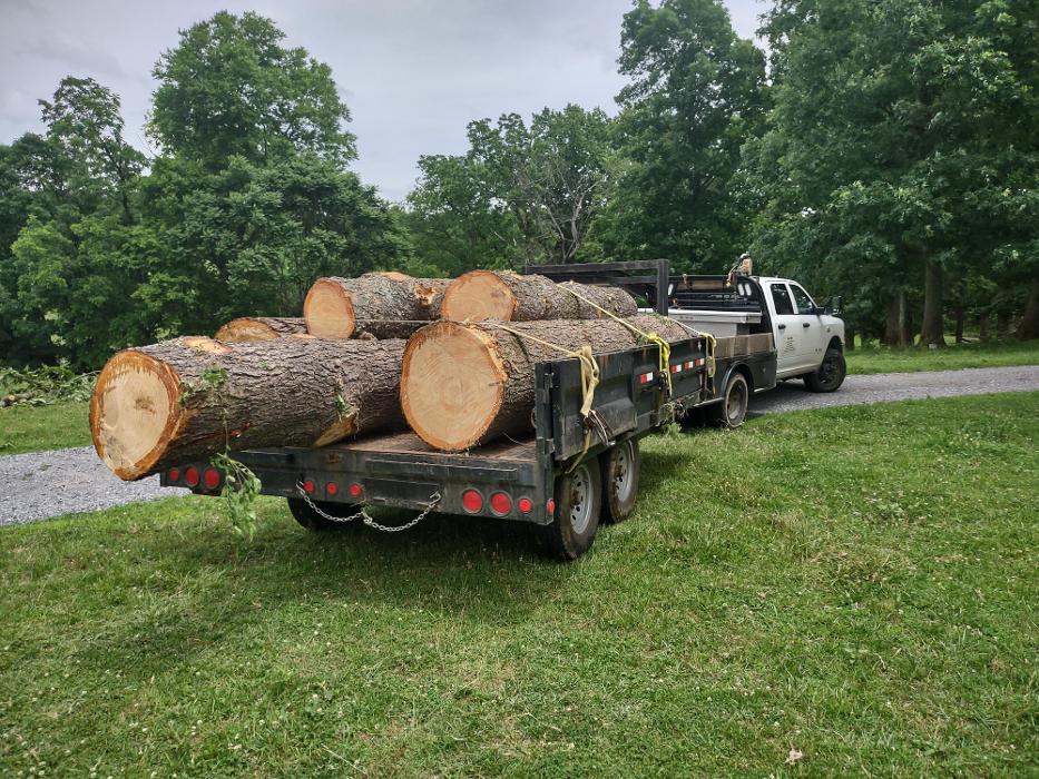 Gravity Works Tree Service - Asheville, NC