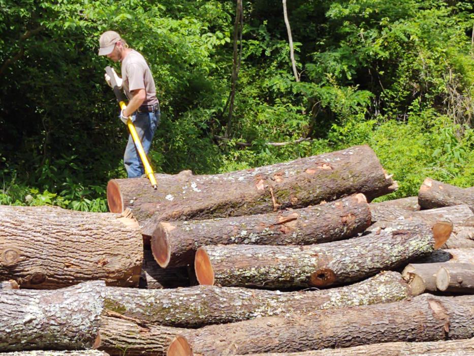 Gravity Works Tree Service - Asheville, NC
