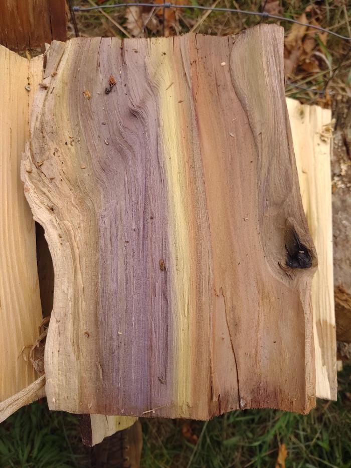 Gravity Works Tree Service - Asheville, NC