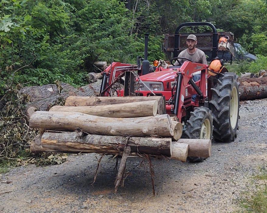 Gravity Works Tree Service - Asheville, NC