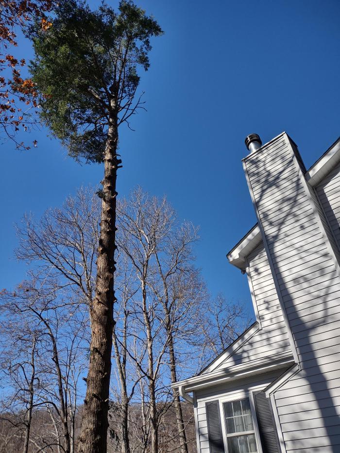 Gravity Works Tree Service - Asheville, NC