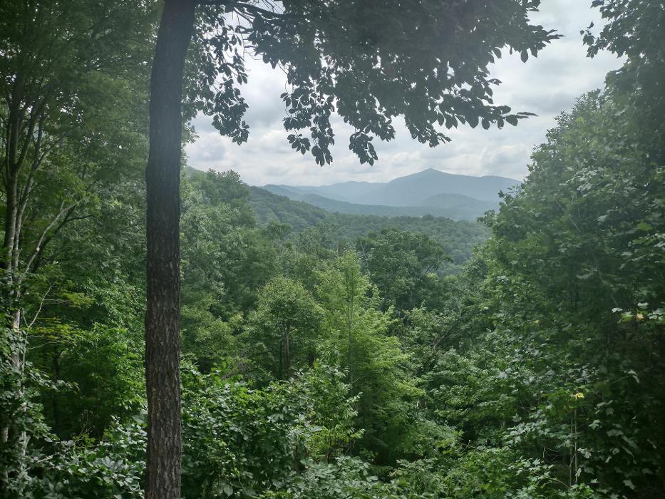Gravity Works Tree Service - Asheville, NC