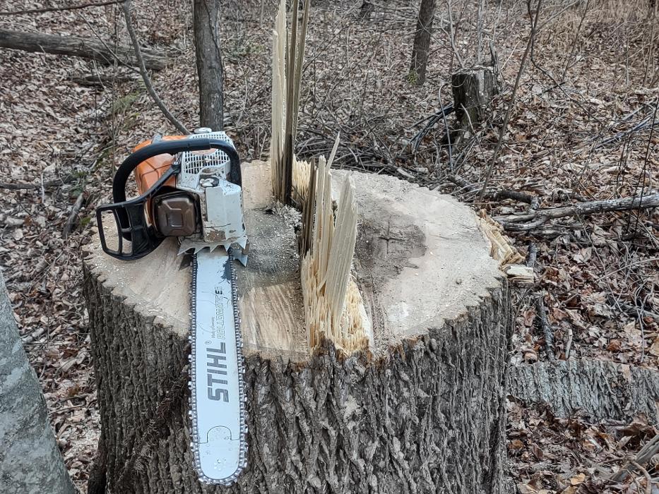 Gravity Works Tree Service - Asheville, NC