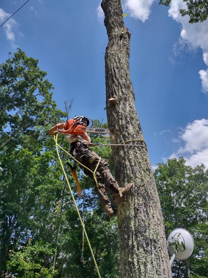 Gravity Works Tree Service - Asheville, NC