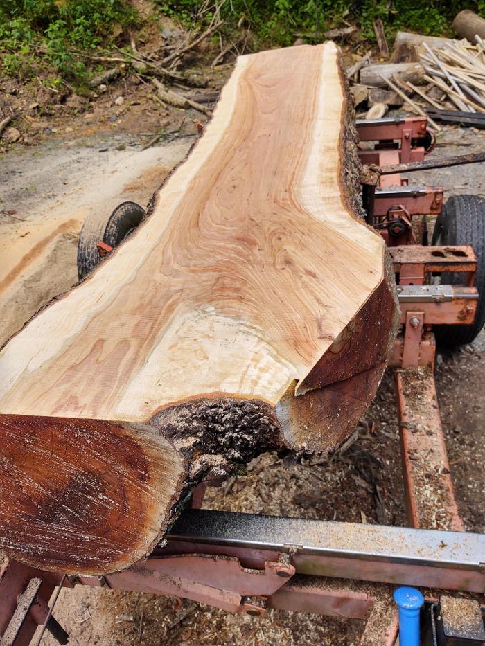 Gravity Works Tree Service - Asheville, NC