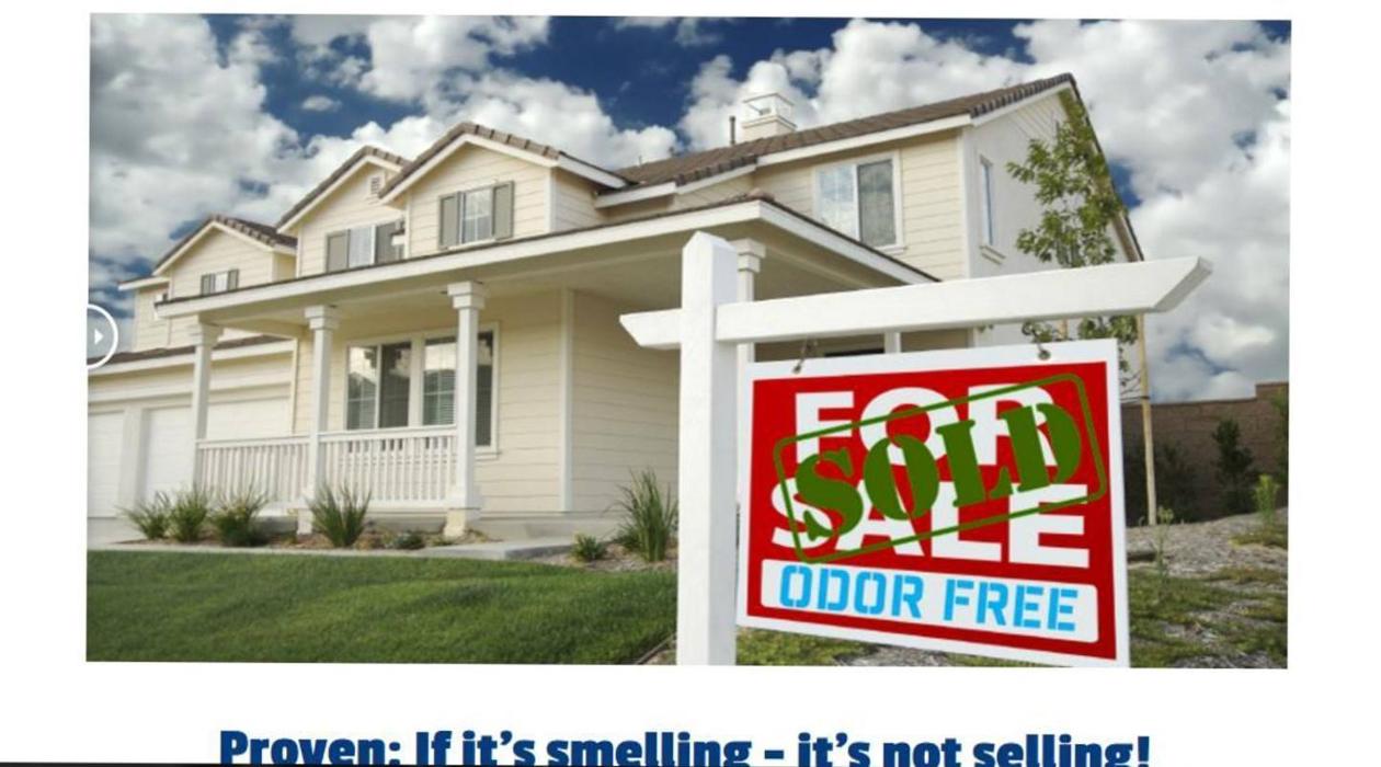 master odor removal - pittsburgh - Bellaire, OH