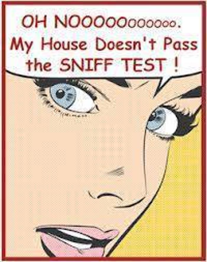 master odor removal - pittsburgh - Bellaire, OH