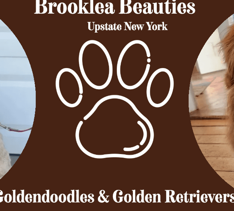 Brooklea Beauties - Hilton, NY