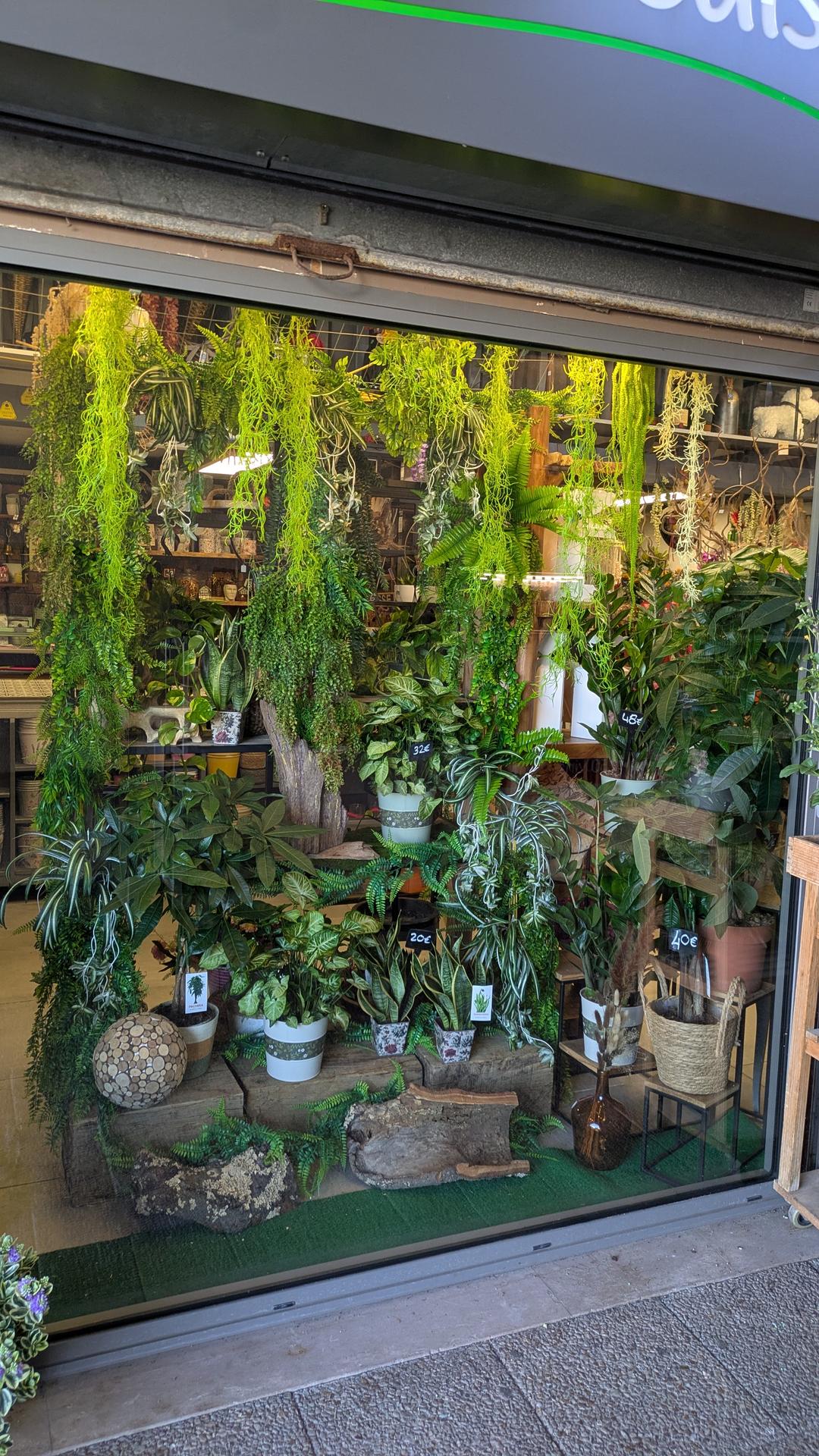 galerie image