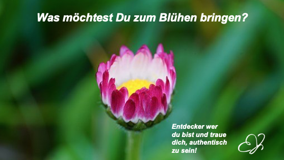 Dranbleiben Beate Wiemann, An der Engesohde in Hannover