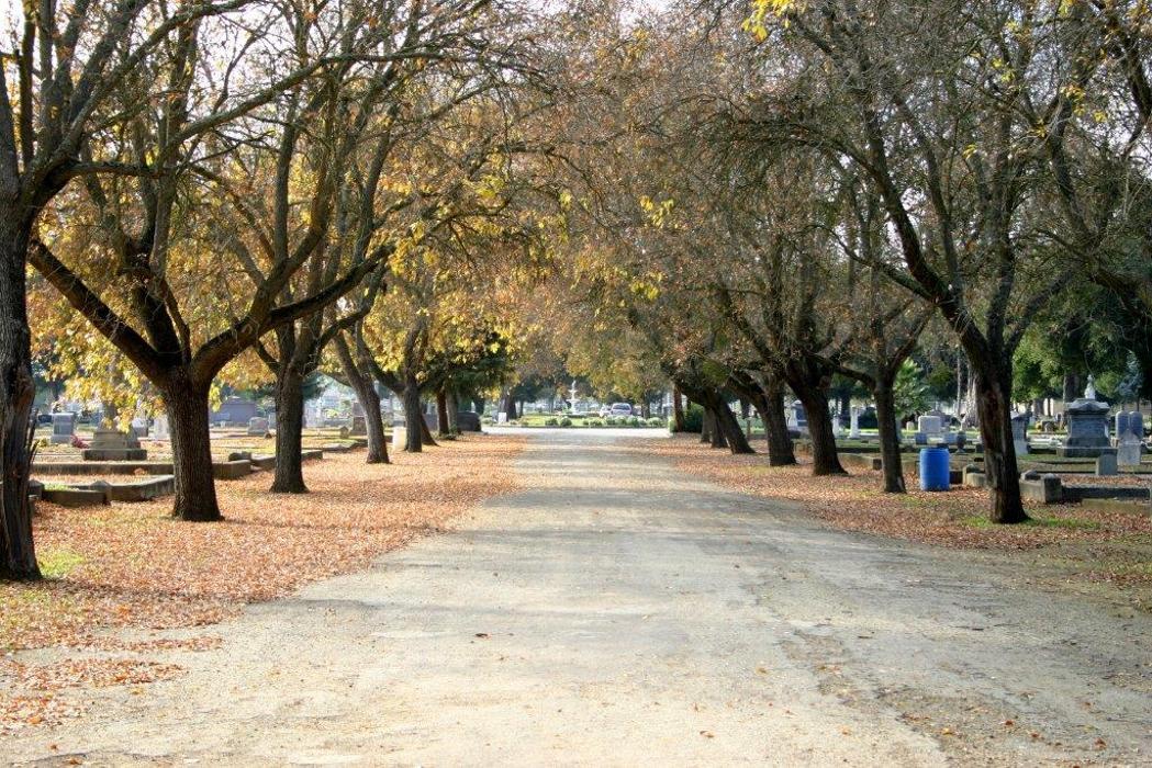 Habing Family Funeral Home - Gilroy, CA