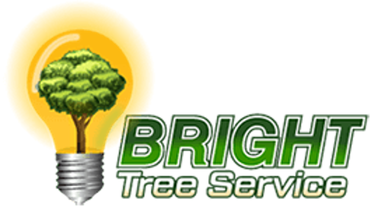 Bright Tree Service - Dallas, TX