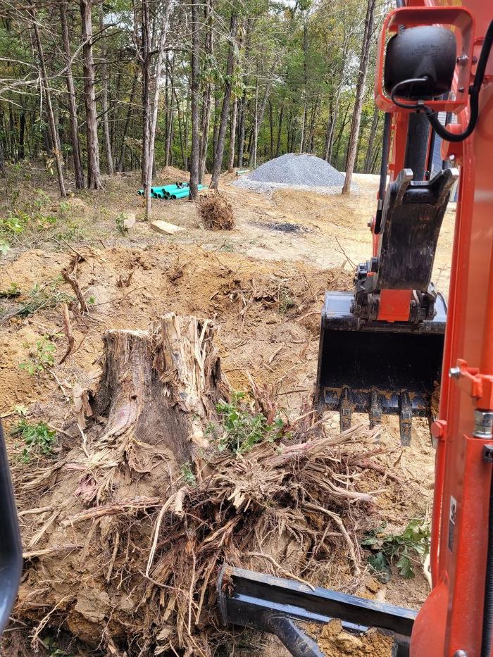 Black Dog Dirt Works - Springdale, AR