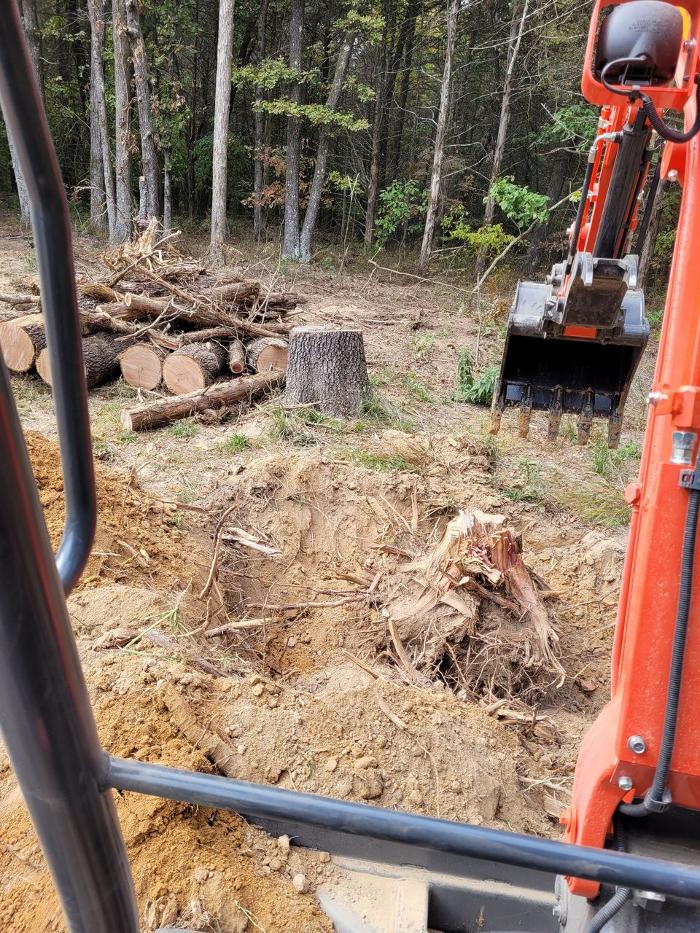 Black Dog Dirt Works - Springdale, AR