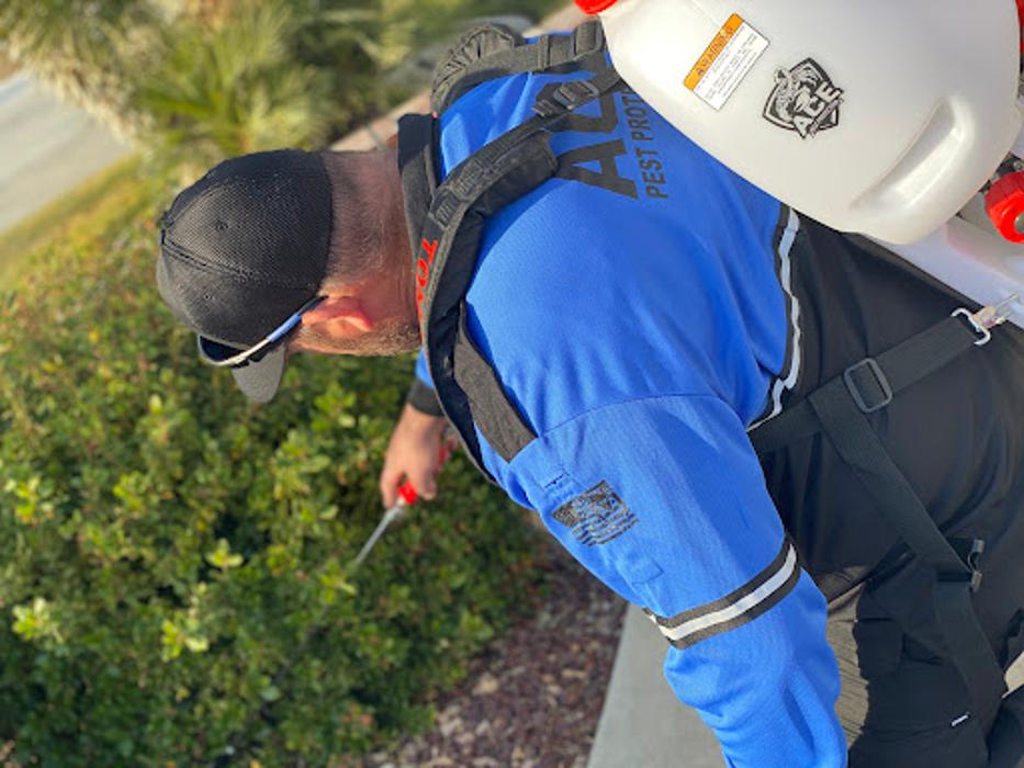 Ace Pest Protection - Hesperia, CA