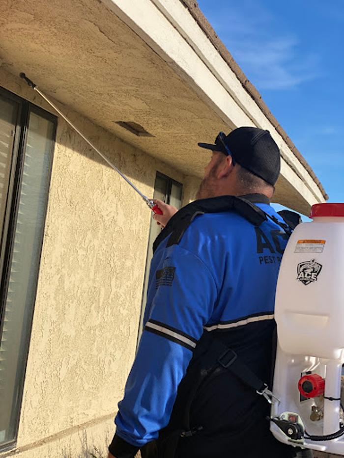 Ace Pest Protection - Hesperia, CA