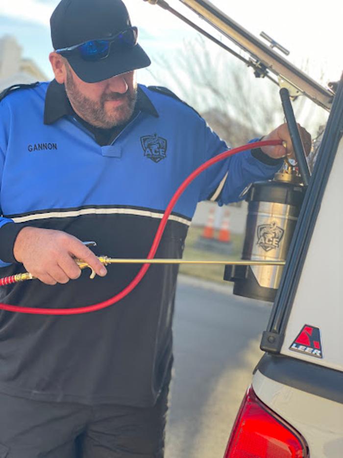 Ace Pest Protection - Hesperia, CA