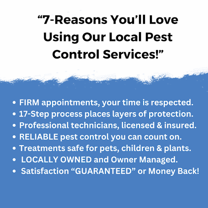 Ace Pest Protection - Hesperia, CA