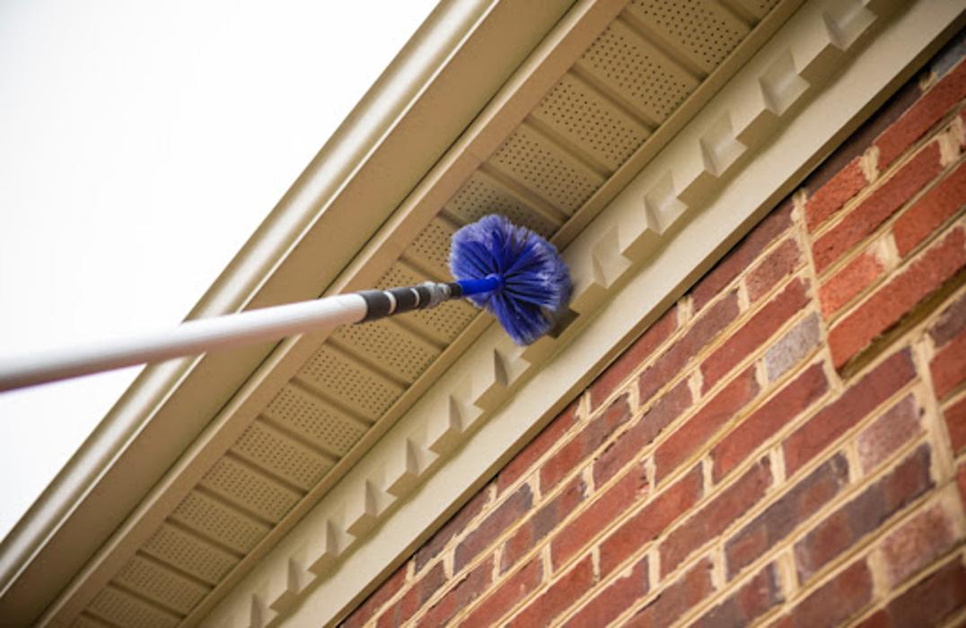 Ace Pest Protection - Hesperia, CA