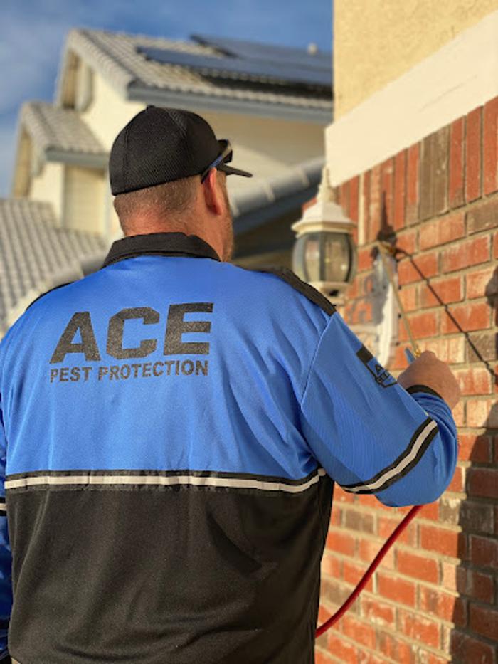 Ace Pest Protection - Hesperia, CA