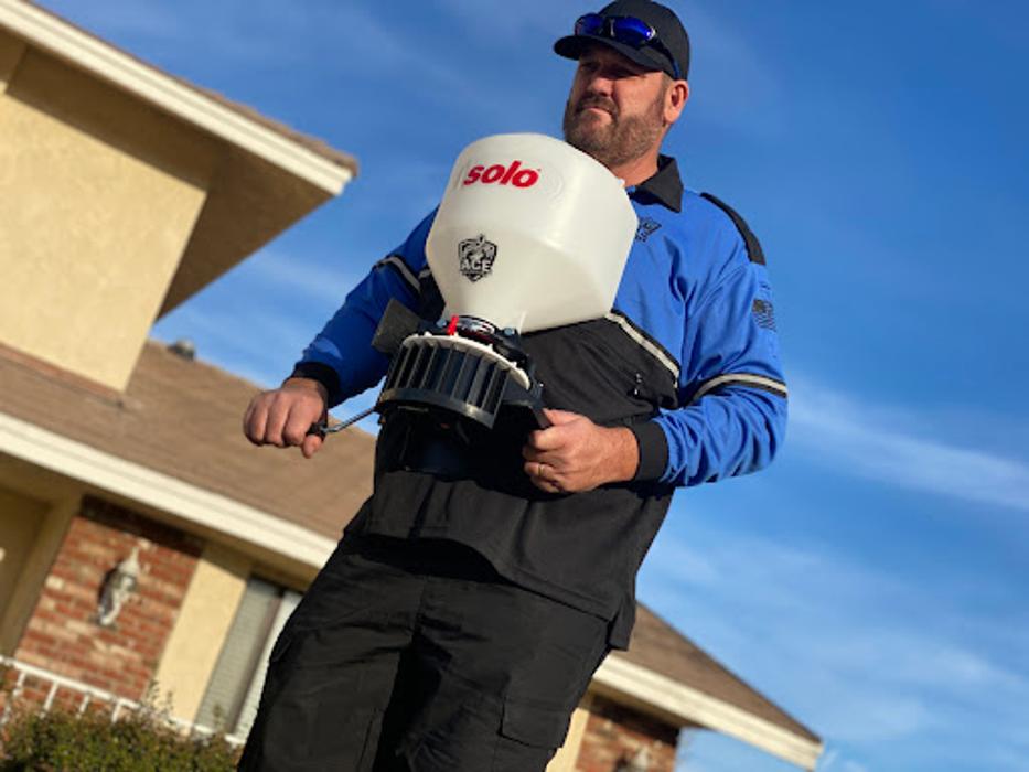 Ace Pest Protection - Hesperia, CA