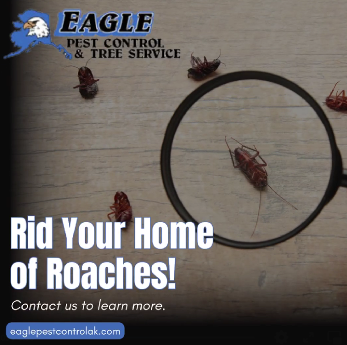 Eagle Pest Control & Tree Service - Anchorage, AK