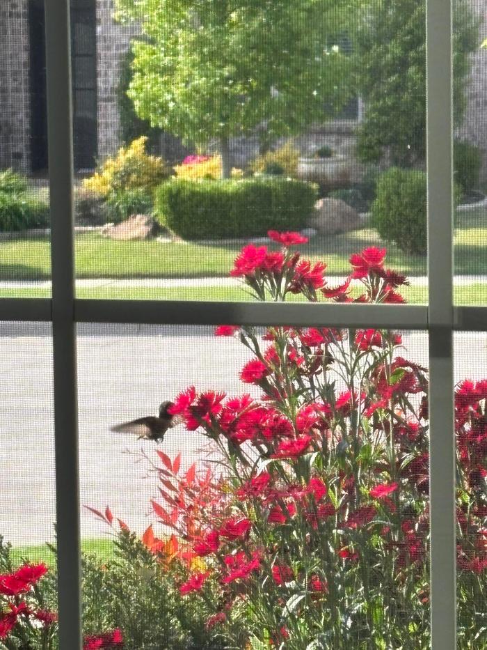 Clay's Clippers Landscape Creations Inc. Logo