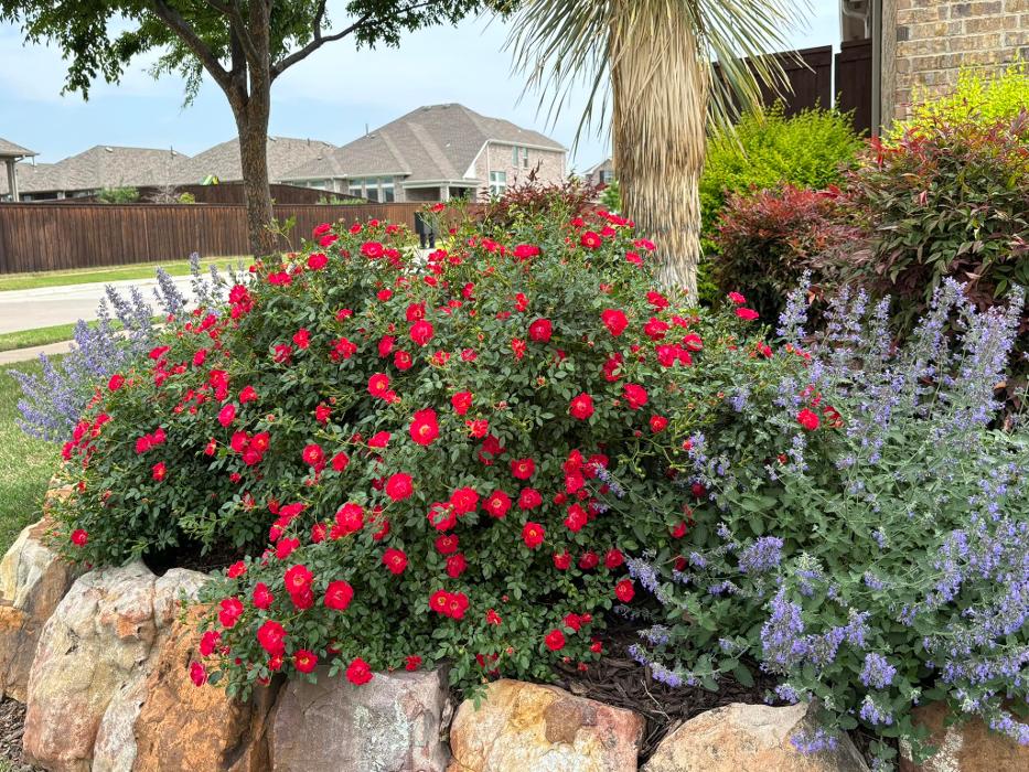 Clay's Clippers Landscape Creations Inc. Image