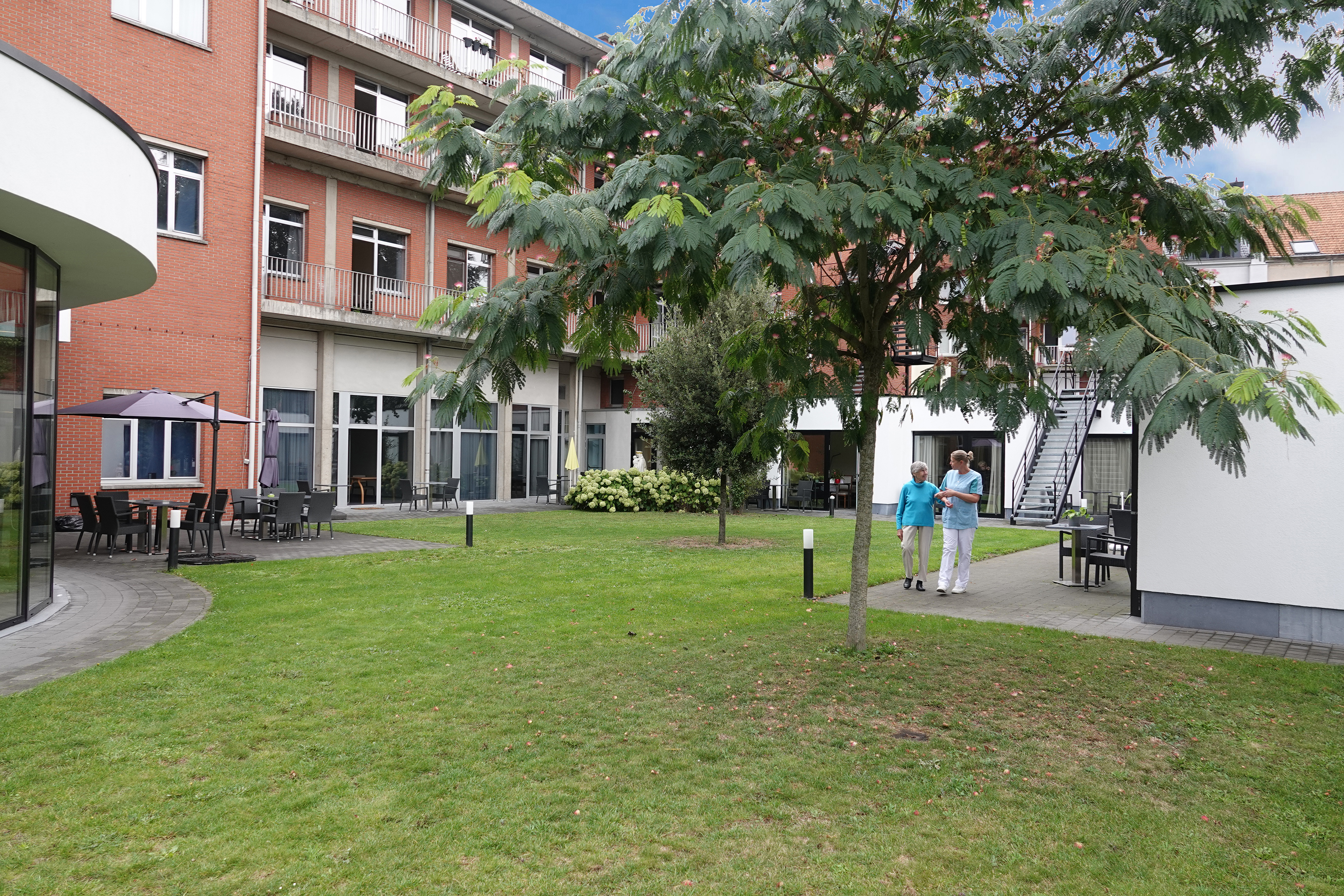 Miniature de la galerie