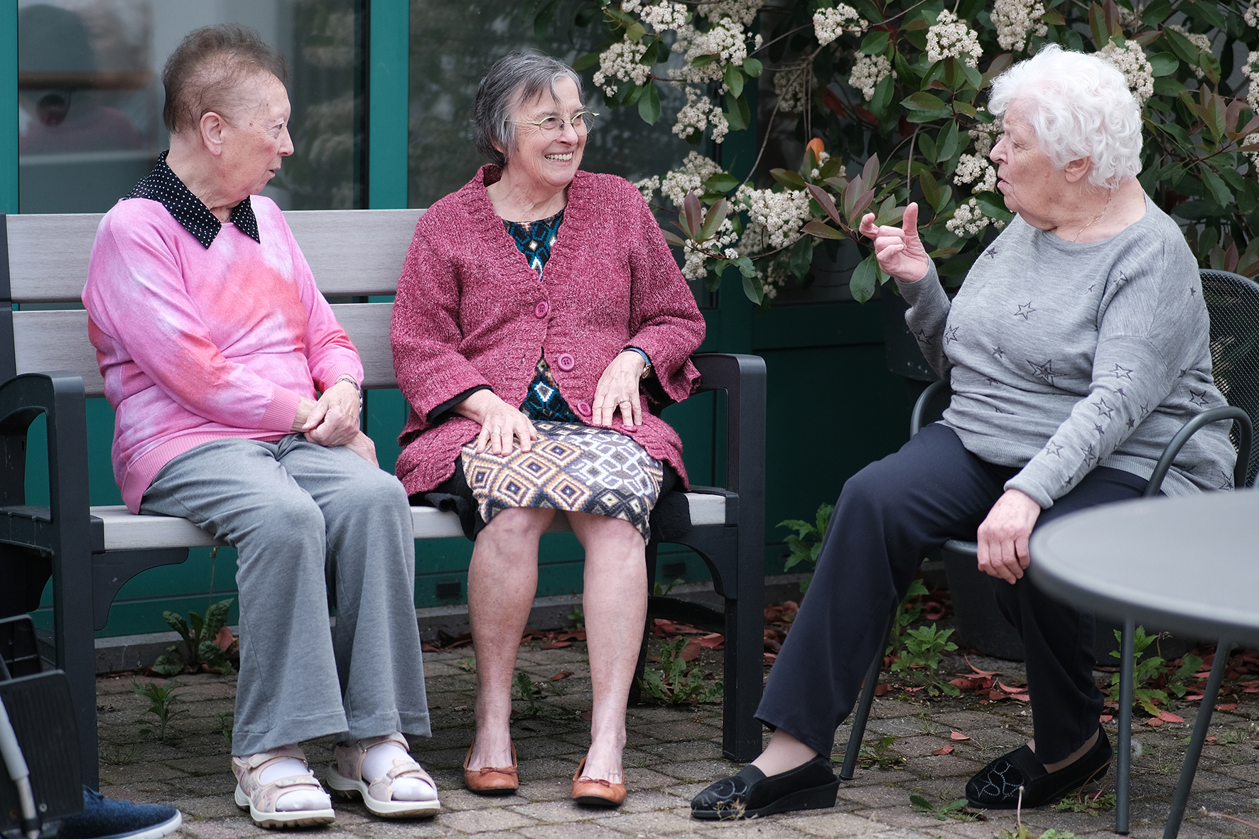 Miniature de la galerie