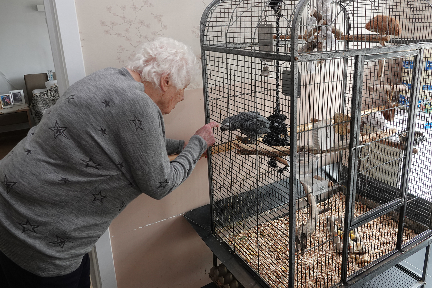 Miniature de la galerie