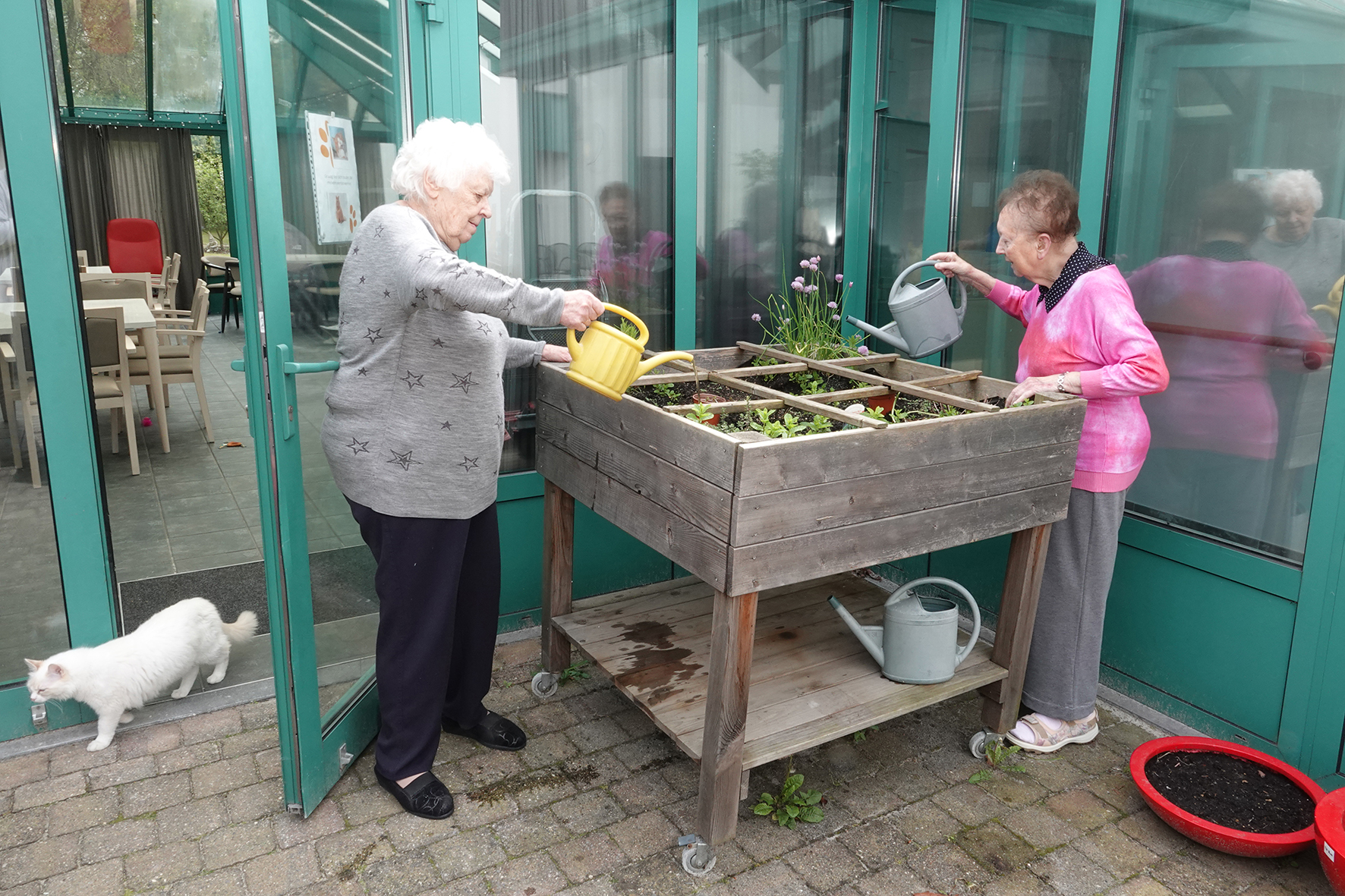 Miniature de la galerie